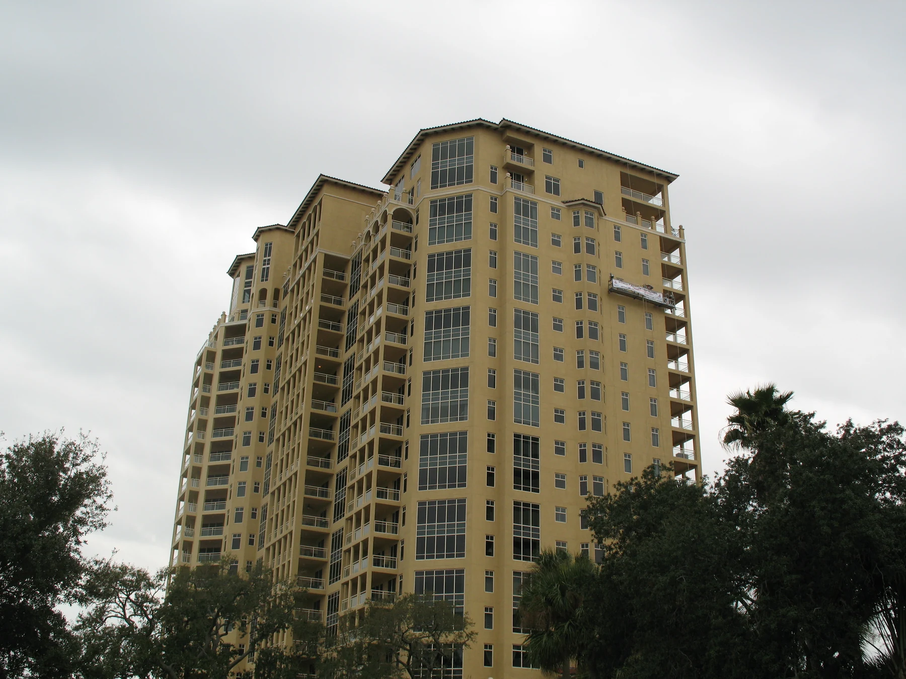Bellamy on Bayshore
