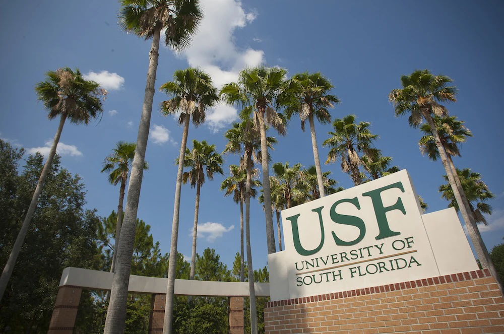 The University of South Florida